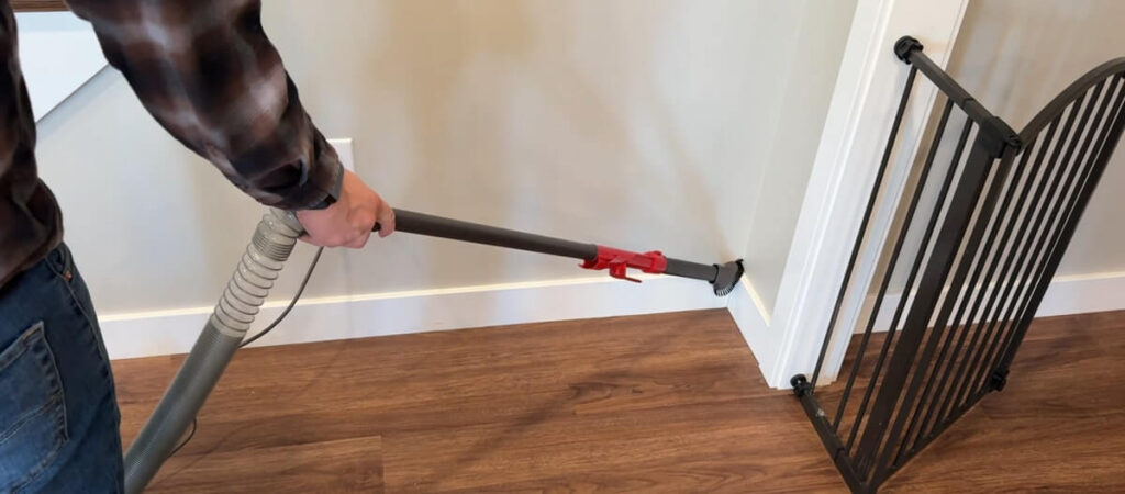 Dyson ball animal 3 wand
